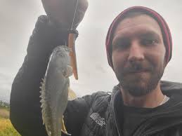 Not entirely sure with that hybrid mic man is.