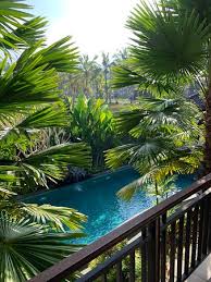 Check spelling or type a new query. Taman Amartha Ubud Indonesia Ulasan Perbandingan Harga Guest House Tripadvisor