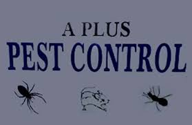 1614 saltlick pl murfreesboro, tn 37129. A Plus Pest Control 2109 Hillwood Dr Centerville Tn 37033 Yp Com