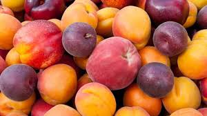 Image result for image of food you don't refrigerate