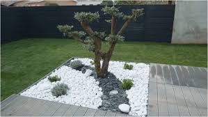 Idee Deco Jardin Avec Gravillon Amenagement Jardin Cailloux Decoration Jardin Deco Jardin