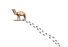 The djinn assured the camel his hump would always be a help, not a hindrance. The Camel S Secret Enlightened Islam