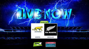 All Blacks vs Pumas: Can the Boks' Rivals Dominate in Argentina? - Imagen principal del artículo