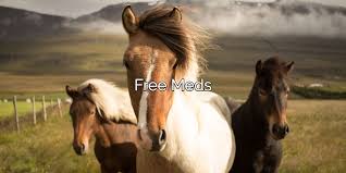 However, if you need help now, you will be happy to hear that there are already affordable and free clinics. Free Suboxone Free Subutex And Free Zubsolv How To Get Free Buprenorphine Meds For Opioid Dependence