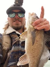 Two large blue fish, 30-40 pounds, locked together