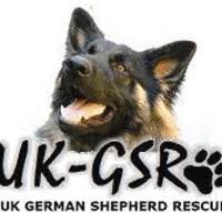 Choose a breed a crossbreed (129) akita (5) alaskan malamute (3) alsatian ( all breeds ) (29) american bulldog (6) anatolian shepherd dog (1) beagle (3) belgian shepherd dog: Uk German Shepherd Dog Rescue Ltd Warrington Animal Welfare Societies Yell