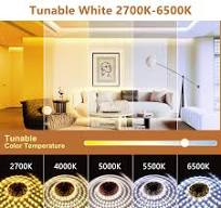 Amazon.com: Wefomey White LED Strip Lights, 100ft Dimmable ...