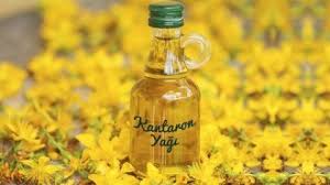 Sari Kantaron Yagi Nedir Herbal Essence Shampoo Skin Benefits Cancer Prevention