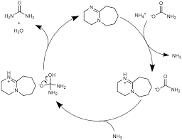 Dbu can be used as a measure of voltage, regardless of impedance, but is derived from a 600 ω load dissipating 0 dbm (1 mw). Proposed Mechanisms For The Dbu Catalyzed Urea Synthesis Reaction From Download Scientific Diagram