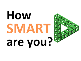 Bright side invites you to stretch your brain a little and check if . Urmzmynsegq7rm