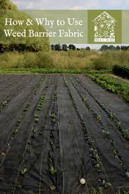 Fabric pots are also good if you have poor quality soil in your area. Why And How To Use Weed Barrier Fabric Under A Tin Roof