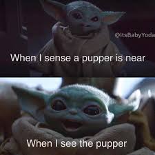 Pin By Kyle Eyerly On Baby Yoda Yoda Funny Funny Star Wars Memes Yoda Meme