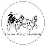 Lorenzo Driving Competition