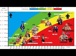 Wwe Wrestlers Height And Weight Bmi Comparison Chart Fattest Vs Fittest Hd
