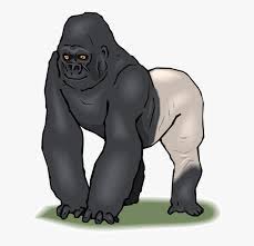 We did not find results for: Download Free Printable Clipart And Coloring Pages Silverback Gorilla Clip Art Hd Png Download Transparent Png Image Pngitem