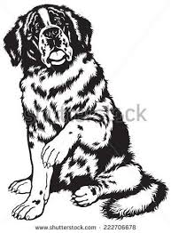Black And White St Bernard Clipart Ink Drawing St Bernard Google Search St Bernard Dogs St Bernard Breed Animal Drawings