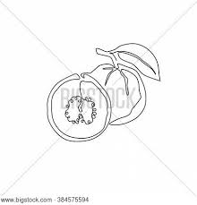 Single Continuous Vector Photo Free Trial Bigstock Make sure you also check out any of the hundreds of drawing tutorials. single continuous vector photo free