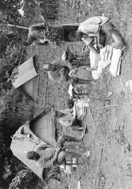 Image result for Pleioceras gilletii