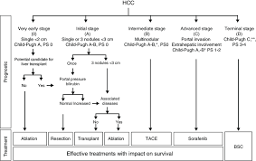 Research has helped boost survival rates. Barcelona Clinic Liver Cancer Bclc Staging System Bsc Best Download Scientific Diagram