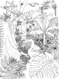 Get melissa and doug coloring book today with drive up, pick up or same day delivery. Rainforest Coloring Page Rainforest Alliance