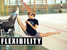 10 Components Of Fitness Gauging The Fitness Person In The World
