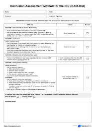 Image result for CAM-ICU