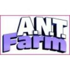 Ant Farm Stories