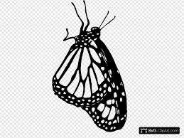 Download Monarch Butterfly At Rest Outline Svg Vector Monarch Butterfly At Rest Outline Clip Art Svg Clipart PSD Mockup Templates