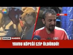 Yolda Duran Kopegi Ezdi Arkasina Bile Bakmadi Youtube