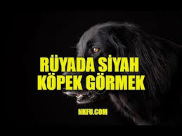 Ruyada Siyah Kopek Gormek Ne Demektir Isirmasi Nedir Yorumu Youtube