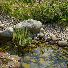 You certainly want to attract them with gorgeous blooms, but while they are in your garden you will want to give them a place to collect water: Wildlife Garden Ideas 15 Ways To Turn Gardens Into A Haven For Wildlife