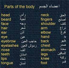 learning arabic msa fabiennem english language learning grammar learning arabic learn english