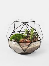 Image Of Icosidode Geometric Terrarium Terrarium Glass Terrarium
