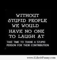 As they say laughter is the best form of medicine. Funny Quotes For Stupid Person Infosuba Org