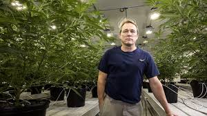 This is the main canopy growth corp stock chart and current price. Canopy Growth Earnings Can The World S Largest Marijuana Company Keep Growing Like A Weed Marketwatch