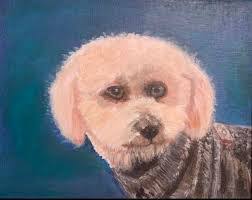 David Jaycox's Instagram, Twitter & Facebook