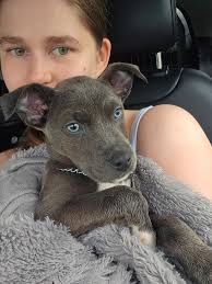 Does this sweet girl belong to you?