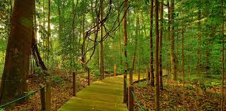 Selangor, malaysia pendidikan university tunku abdul rahman bachelor of science and biotechnology biotechnology second upper. Yabrf6gzs23a7m