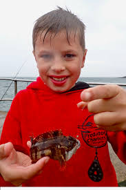 Young At Heart Archives