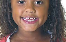 St. Charles Herald Guide