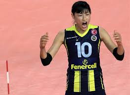 Fenerbahce jersey 2013 2014 third 3rd m shirt adidas football soccer d08133. Cev Confederation Europeenne De Volleyball
