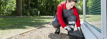 Pest control service in redwood city is locked, loaded and ready to fire on any insect or rodent related inconveniences you may have in your home. Your Local Pest Control Damp Woodworm Rot Expert Rentokil