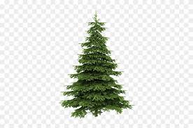 All christmas tree images are hand cut out for better quality. Real Christmas Trees Png Clipart 2573727 Pikpng