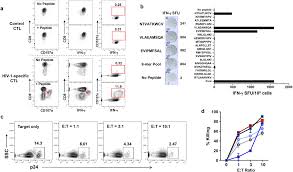 Smk bdr sg long smk sultan abdul samad telok datuk smk tinggi klang smk puchong utama 1. Type 1 Programmed Dendritic Cells Drive Antigen Specific Latency Reversal And Immune Elimination Of Persistent Hiv 1 Ebiomedicine