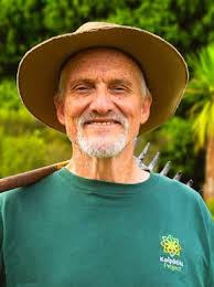 Auckland lawyer Andrew Jarvis fined $275k for role in 'reckless' foreign  buyer rule breaches