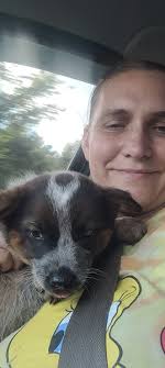 Reeds Spring Community Page