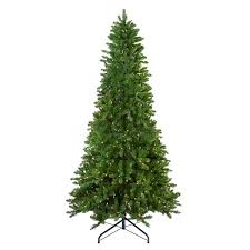We did not find results for: Northlight Pre Lit Slim Eastern Pine Artificial Christmas Tree Clear Lights 10 Ft 31451231 Rona