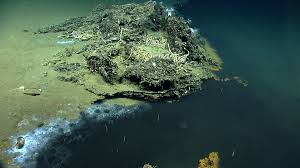 Watch Live Scientists Explore A Mysterious Deep Sea World Natural Phenomena Sea World Phenomena