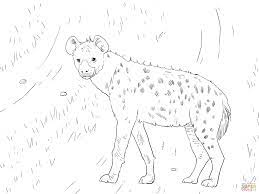 Simply do online coloring for spotted hyena coloring page directly from your gadget, support for ipad, android tab or using our web feature. African Spotted Hyena Coloring Page Free Printable Coloring Pages Coloring Home