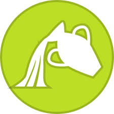 Resultado de imagem para os signos do zodiaco